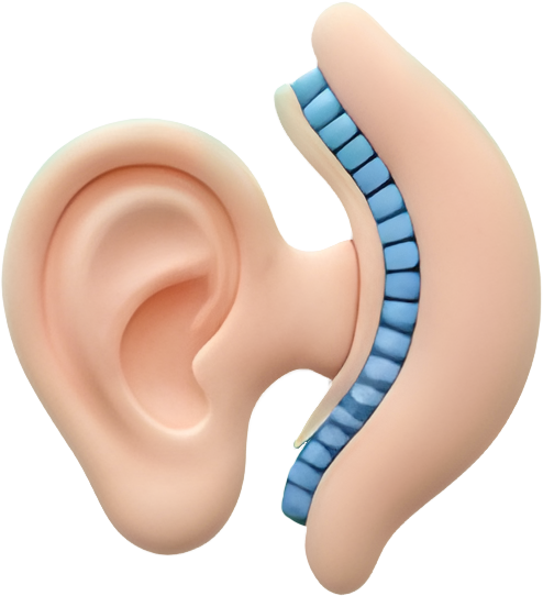 تخصص الأذن والأنف والحنجرة