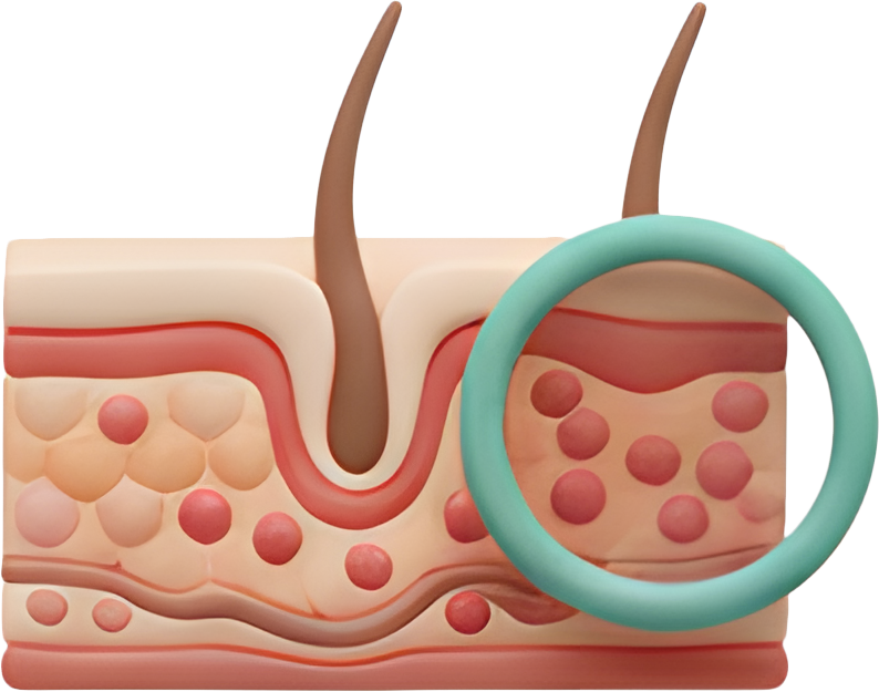 تخصص الأمراض الجلدية